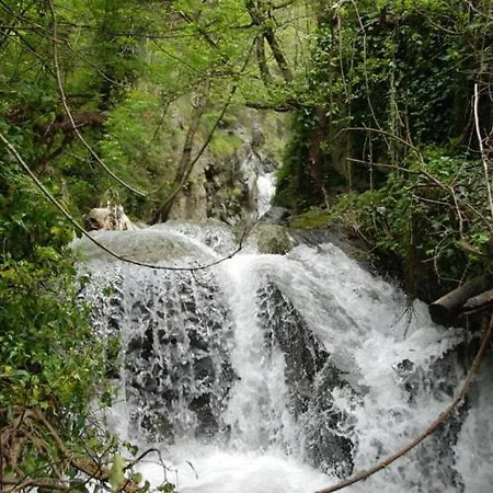 Stella D'aurora Waterview בלמונטה קלברו