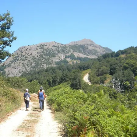 Stella D'aurora Waterview