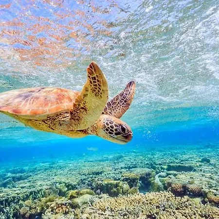 Stella D'aurora Waterview * Belmonte Calabro