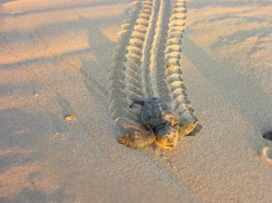 Stella D'aurora Waterview Apartamento Belmonte Calabro