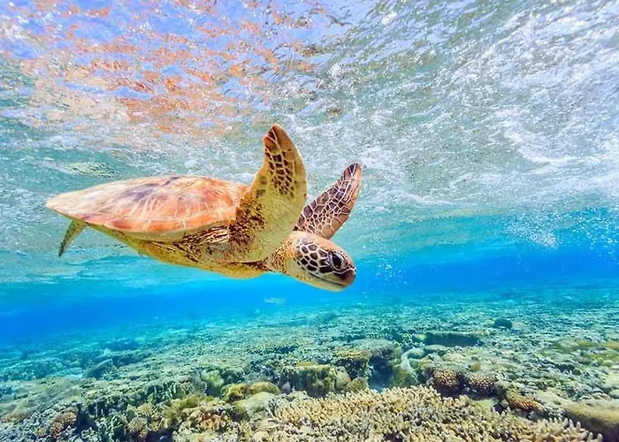 Stella D'aurora Waterview * Belmonte Calabro